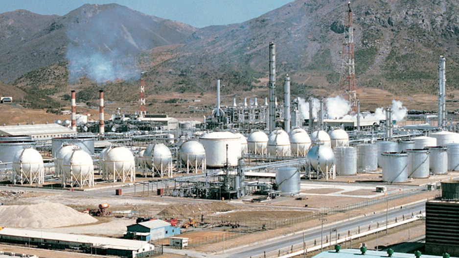 The company diversified its portfolio by acquiring two petrochemical businesses, Hanyang Chemicals and Dow Chemicals Korea.