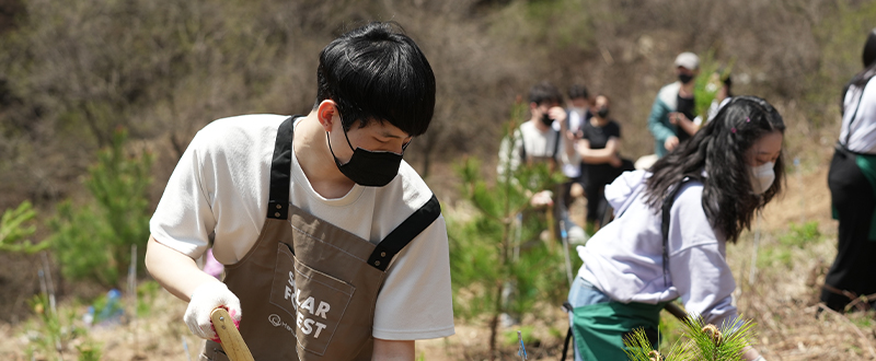 Participants rake in fresh soil after planting trees for Hanwha’s ninth Solar Forest in South Korea.