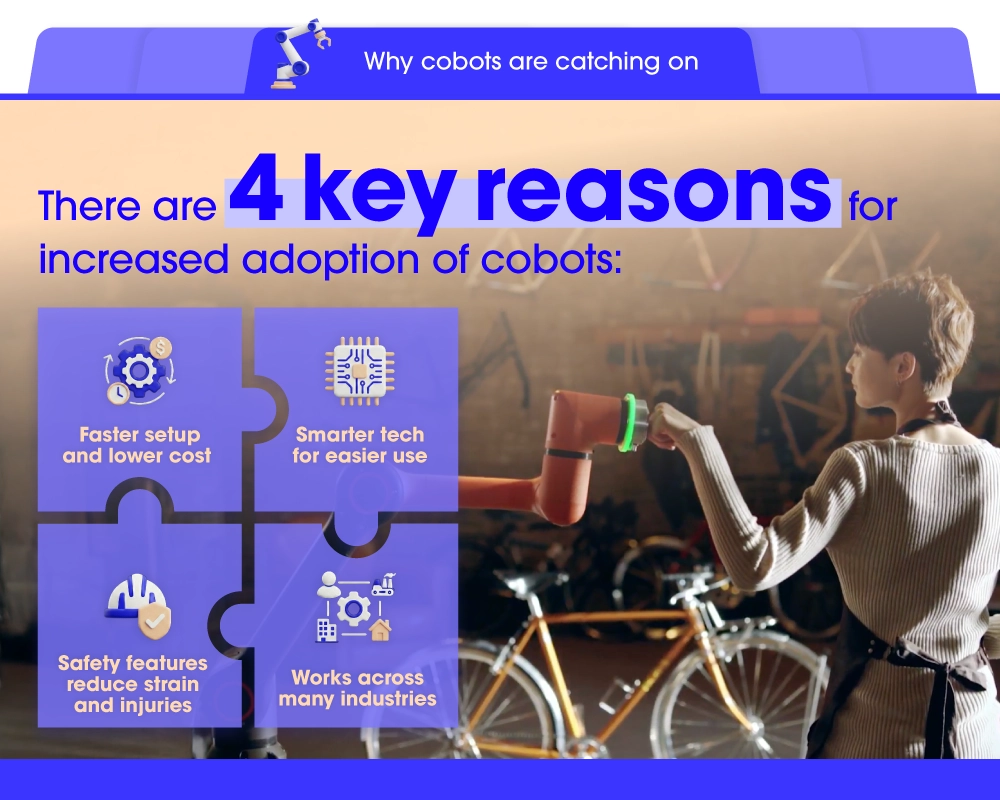The four reasons for rising cobot adoption are easier setup, smarter technology, improved safety, and wide applicability.